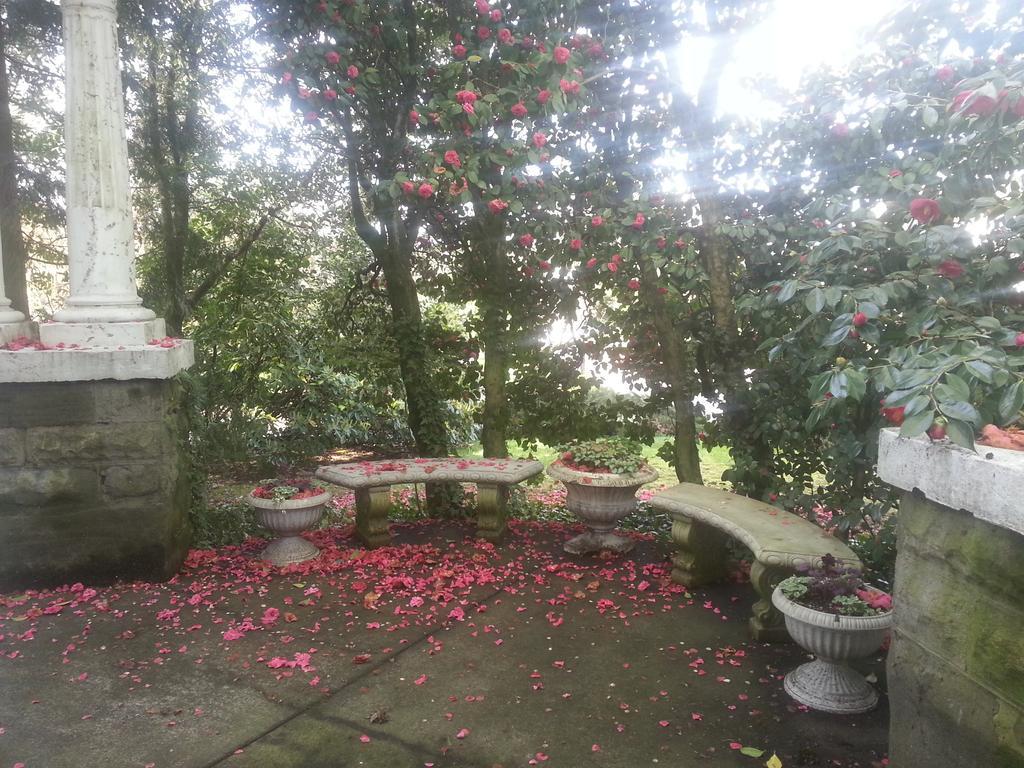Evermore Guesthouse Πόρτλαντ Εξωτερικό φωτογραφία